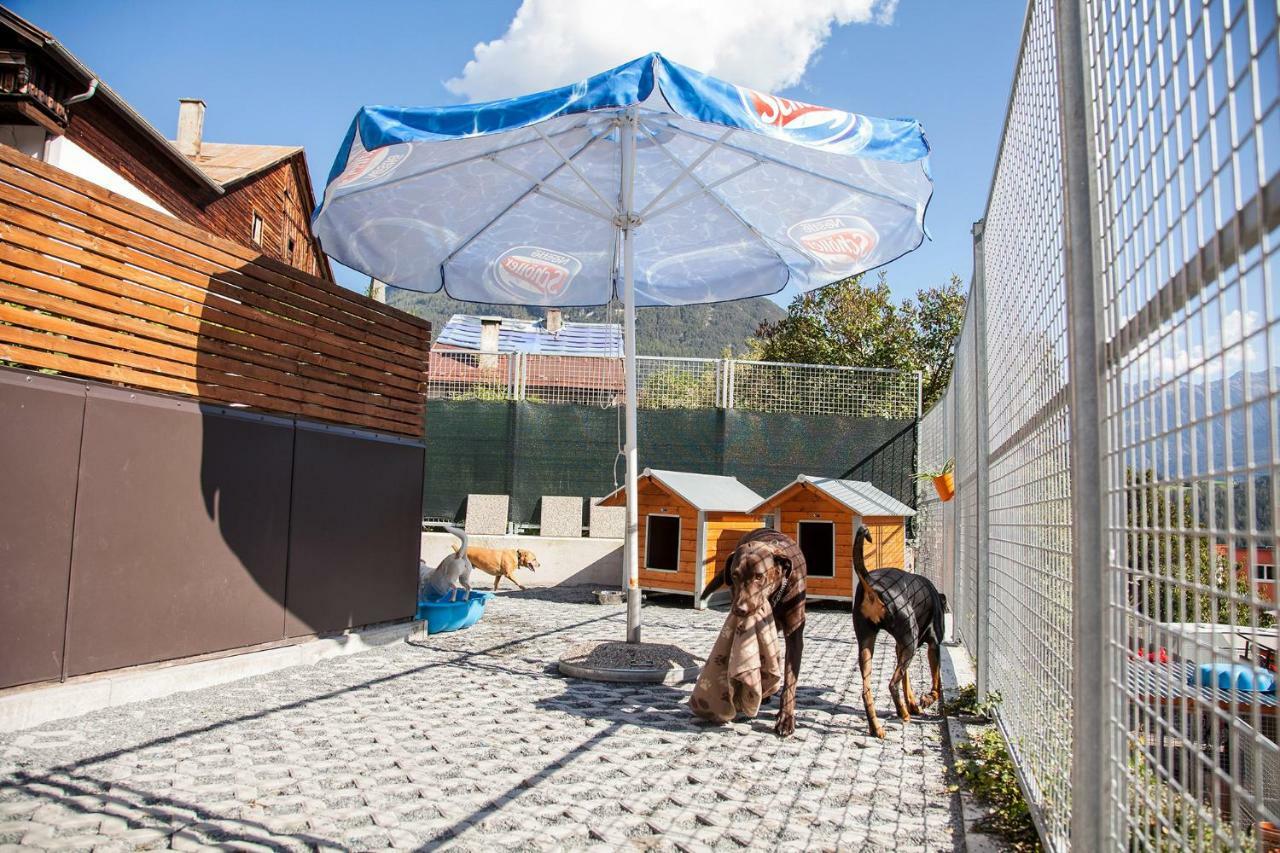 Ferienwohnung Bei Cooldog 伊姆斯特 外观 照片